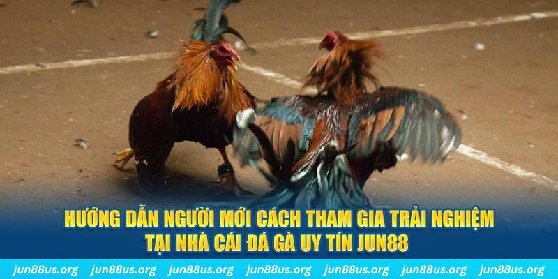 ok9aa loi game dot kich ket noi may chu that bai