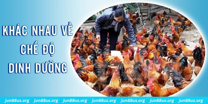 ok9aa xổ số miền nam thứ năm hàng tuần