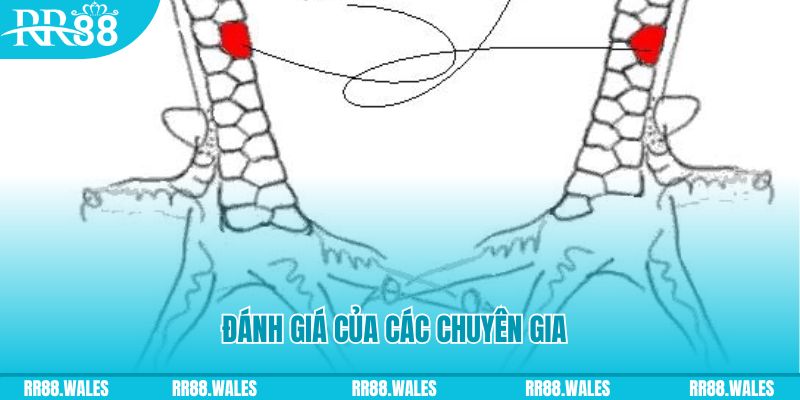 ok9aa V8 Game Bài 3d