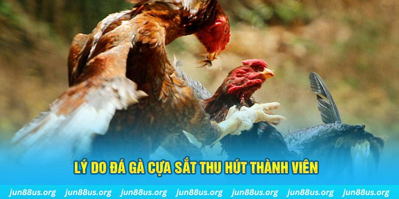 ok9aa chiếm slot là gì