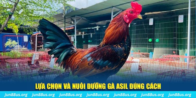 ok9aa xổ số đài bắc