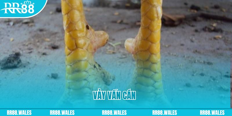 ok9aa đăng nhập nổ hũ hôm nay